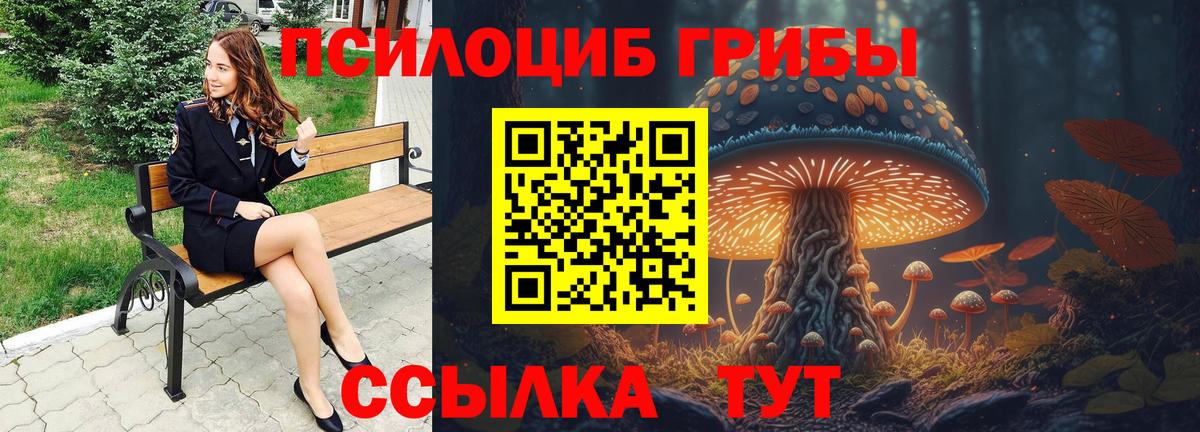 Галлюциногенные грибы прущие грибы Сургут